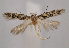  ( - MM27970)  @11 [ ] by-nc (2023) Jari Junnilainen Unspecified