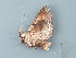  ( - MM28167)  @11 [ ] by-nc (2024) Marko Mutanen University of Oulu