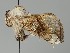  ( - MTah127)  @11 [ ] by-nc (2018) Marko Mutanen University of Oulu