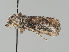  ( - MTah210)  @11 [ ] by-nc (2018) Marko Mutanen University of Oulu