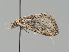  ( - MTah225)  @11 [ ] by-nc (2018) Marko Mutanen University of Oulu