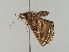  ( - MTah280)  @11 [ ] by-nc (2018) Marko Mutanen University of Oulu