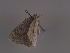  ( - MTah292)  @11 [ ] by-nc (2022) Marko Tähtinen Unspecified