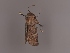  ( - MTah313)  @11 [ ] by-nc (2022) Marko Tähtinen Unspecified