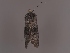  ( - MTah323)  @11 [ ] by-nc (2022) Marko Tähtinen Unspecified