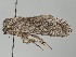  ( - MTah99)  @11 [ ] by-nc (2018) Marko Mutanen University of Oulu