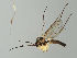  ( - MZH_GAS.390)  @11 [ ] by-nc (2021) Ella Sippola University of Oulu