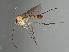  ( - MZH_GAS.430)  @11 [ ] by-nc (2021) Marko Mutanen University of Oulu