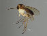  ( - MZH_GAS.444)  @13 [ ] by-nc (2021) Marko Mutanen University of Oulu