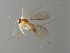  ( - MZH_GAS.477)  @11 [ ] by-nc (2021) Marko Mutanen University of Oulu