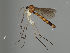  ( - MZH_GAS.484)  @11 [ ] by-nc (2021) Marko Mutanen University of Oulu