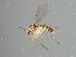  ( - MZH_GAS.506)  @11 [ ] by-nc (2021) Marko Mutanen University of Oulu