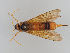  ( - MZH_GP.106391)  @11 [ ] CreativeCommons - Attribution Non-Commercial (2018) Marko Mutanen University of Oulu