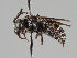  ( - MZH_GP.19502)  @11 [ ] CreativeCommons - Attribution Non-Commercial (2018) Marko Mutanen University of Oulu