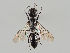  ( - MZH_GP.37132)  @11 [ ] CreativeCommons - Attribution Non-Commercial (2018) Marko Mutanen University of Oulu