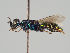  ( - MZH_GP.4685)  @11 [ ] CreativeCommons - Attribution Non-Commercial (2018) Marko Mutanen University of Oulu