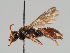  ( - MZH_GP.82944)  @11 [ ] CreativeCommons - Attribution Non-Commercial (2018) Marko Mutanen University of Oulu