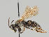  ( - MZH_GP.84592)  @11 [ ] CreativeCommons - Attribution Non-Commercial (2018) Marko Mutanen University of Oulu