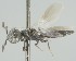  ( - MZH_GQ.5122)  @11 [ ] by-nc (2024) Simo Vaananen Luomus