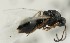  ( - MZH_GQ.6684)  @11 [ ] by-nc (2023) Simo Vaananen Luomus
