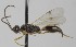  ( - MZH_GQ.6868)  @11 [ ] by-nc (2024) Simo Vaananen Luomus