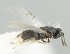  ( - MZH_GQ.6981)  @11 [ ] by-nc (2024) Simo Vaananen Luomus