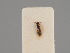  ( - MZH_KZ.7693)  @11 [ ] CreativeCommons - Attribution Non-Commercial (2018) Marko Mutanen University of Oulu