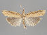  ( - MZH_KZ.7714)  @14 [ ] CreativeCommons - Attribution Non-Commercial (2018) Marko Mutanen University of Oulu