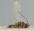  ( - MZH_NK.57248)  @11 [ ] by-nc (2024) Simo Vaananen Luomus