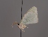  ( - Mtah417)  @11 [ ] by-nc (2022) Marko Tähtinen Unspecified