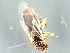  ( - NG.507)  @11 [ ] by-nc (2021) Marko Mutanen University of Oulu