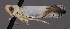  ( - NH.1139)  @11 [ ] by-nc (2022) Erkka Laine University of Oulu