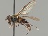  ( - NH.218)  @11 [ ] by-nc (2018) Marko Mutanen University of Oulu