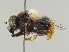  ( - NH.283)  @11 [ ] by-nc (2018) Marko Mutanen University of Oulu