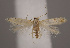  ( - NH.907)  @11 [ ] by-nc (2022) Anssi Vahatalo Luomus