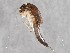  ( - PMAJ-2021F021)  @11 [ ] by-nc (2021) Marko Mutanen University of Oulu