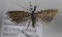  ( - TAB0057)  @11 [ ] by-nc (2022) Jukka Tabell Unspecified