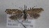  ( - TAB0058)  @11 [ ] by-nc (2022) Jukka Tabell Unspecified