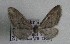  ( - TAB0080)  @11 [ ] by-nc (2022) Jukka Tabell Unspecified