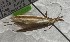  ( - TAB0169)  @11 [ ] by-nc (2024) Jukka Tabell Unspecified