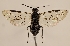  ( - ZMUO.029446)  @13 [ ] CreativeCommons - Attribution Non-Commercial (2017) Marko Mutanen University of Oulu