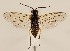  ( - ZMUO.029450)  @11 [ ] CreativeCommons - Attribution Non-Commercial (2017) Marko Mutanen University of Oulu