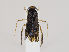  ( - ZMUO.036164)  @11 [ ] CreativeCommons - Attribution Non-Commercial (2019) Marko Mutanen University of Oulu