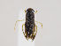  ( - ZMUO.036177)  @11 [ ] CreativeCommons - Attribution Non-Commercial (2019) Marko Mutanen University of Oulu