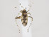  ( - ZMUO.036215)  @11 [ ] CreativeCommons - Attribution Non-Commercial (2019) Marko Mutanen University of Oulu