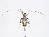  ( - ZMUO.036447)  @11 [ ] CreativeCommons - Attribution Non-Commercial (2019) Marko Mutanen University of Oulu