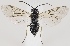  ( - ZMUO.037195)  @11 [ ] CreativeCommons - Attribution Non-Commercial (2019) Marko Mutanen University of Oulu
