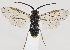  ( - ZMUO.037254)  @11 [ ] CreativeCommons - Attribution Non-Commercial (2019) Marko Mutanen University of Oulu