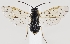  ( - ZMUO.037281)  @11 [ ] CreativeCommons - Attribution Non-Commercial (2019) Marko Mutanen University of Oulu