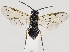  ( - ZMUO.037283)  @11 [ ] CreativeCommons - Attribution Non-Commercial (2019) Marko Mutanen University of Oulu